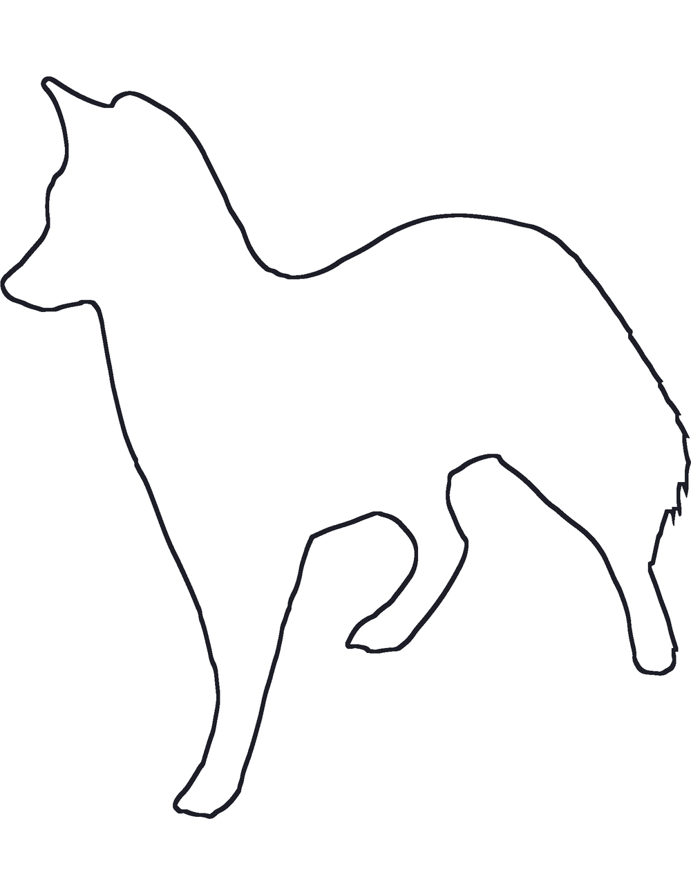 Grey Fox Coloring Page
